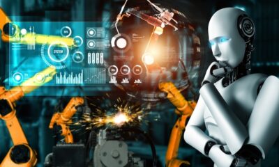 Moly Wr8 W1449 Md Wg Mp V23 P8